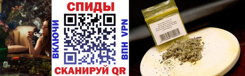 дарнет шоп  Новодвинск  OMG онион  Бутират BDO 33% 