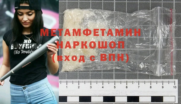 прущие грибы Нея