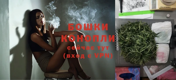 прущие грибы Нея