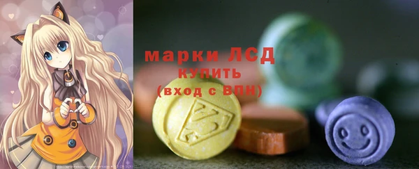 прущие грибы Нея