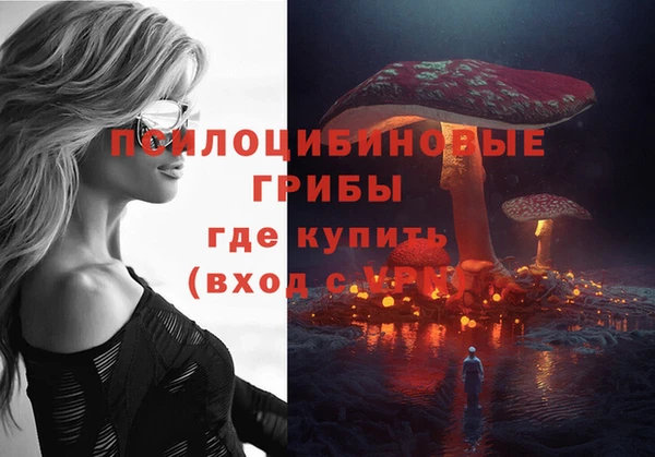 apvp Нефтекумск