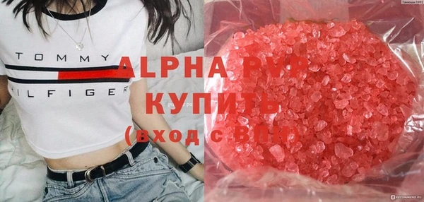 прущие грибы Нея