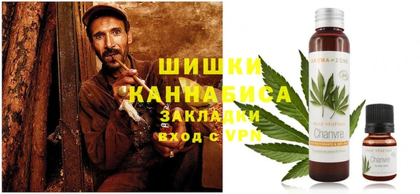 прущие грибы Нея