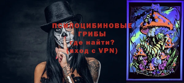 прущие грибы Нея