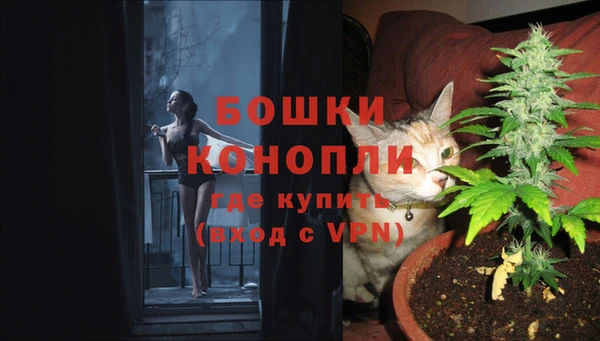 прущие грибы Нея