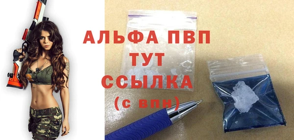 прущие грибы Нея
