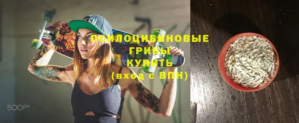 прущие грибы Нея