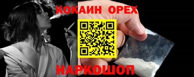 твердый Кингисепп