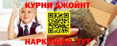 твердый Кингисепп
