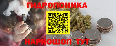 твердый Кингисепп