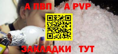 твердый Кингисепп
