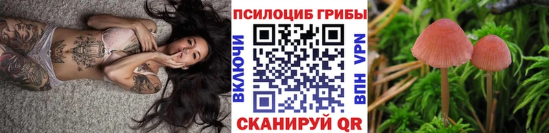 Псилоцибиновые грибы Cubensis купить Новодвинск