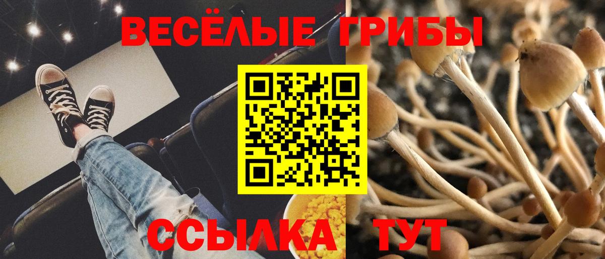 Псилоцибиновые грибы GOLDEN TEACHER  Вход с VPN  закладки  Новодвинск 