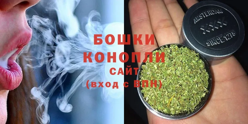 цена наркотик  Новодвинск  МАРИХУАНА OG Kush 